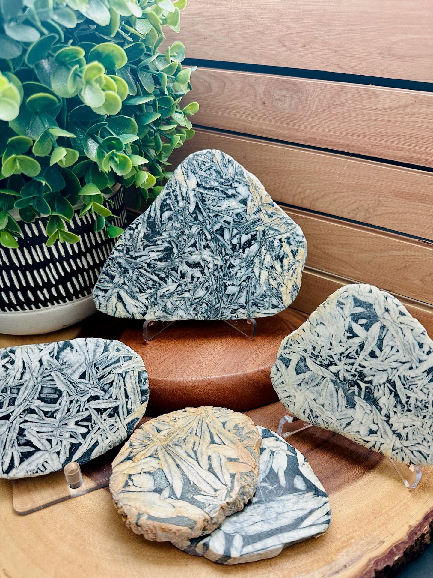 Pinolith Slabs