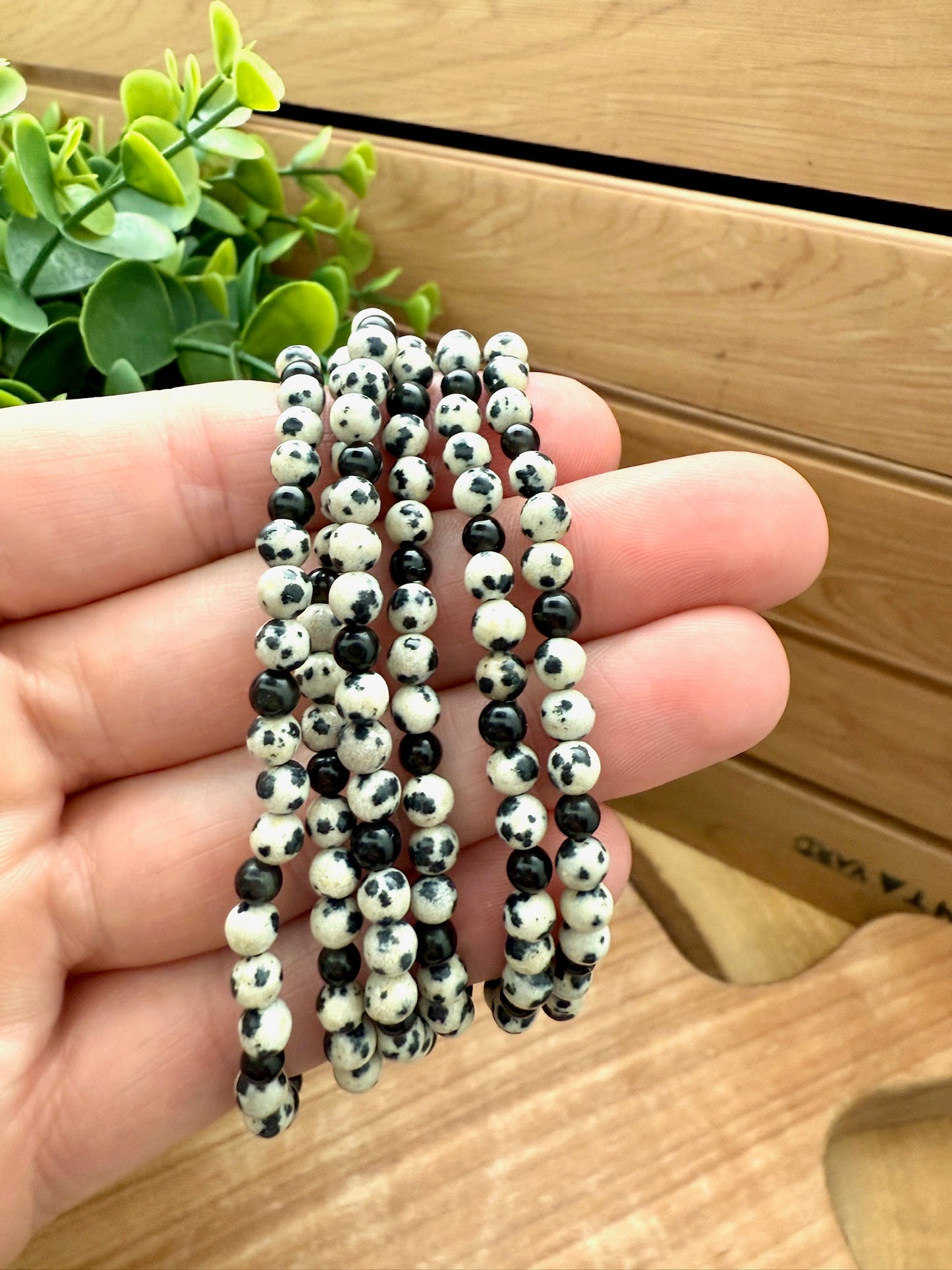 Dalmatian Jasper & Obsidian