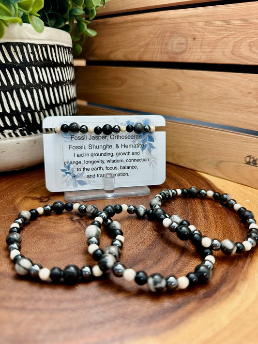 Fossil Jasper, Orthosceras Fossil, Shungite, and Hematite Bracelet