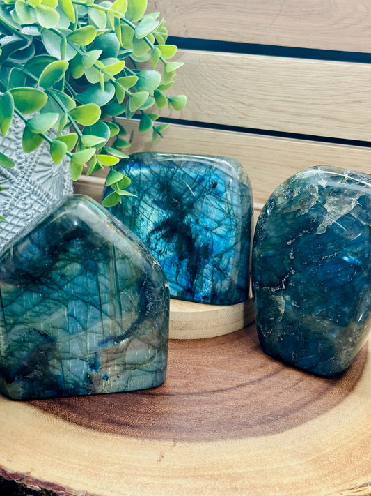 Labradorite Short Freeforms