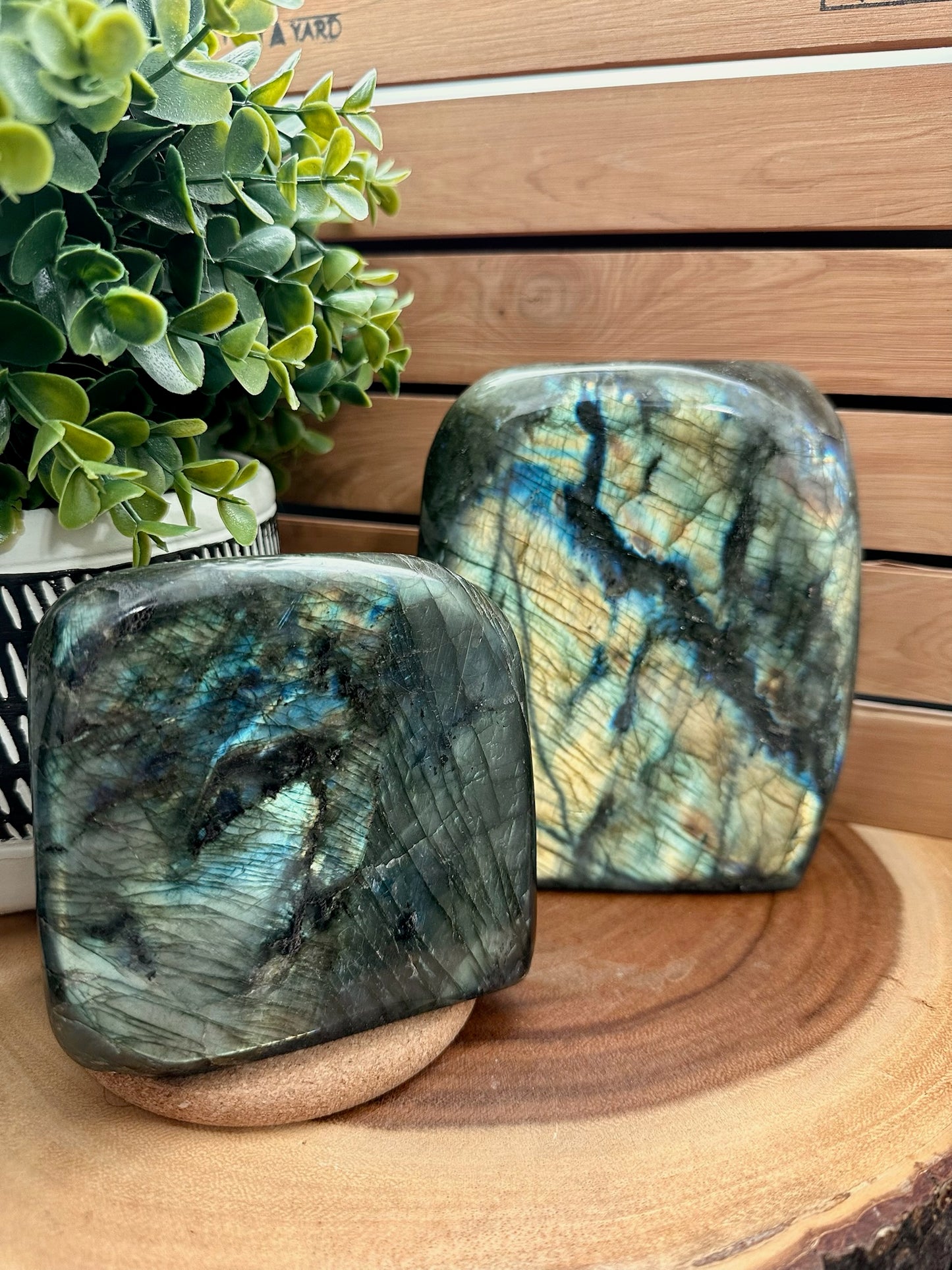 Labradorite Large Freeforms