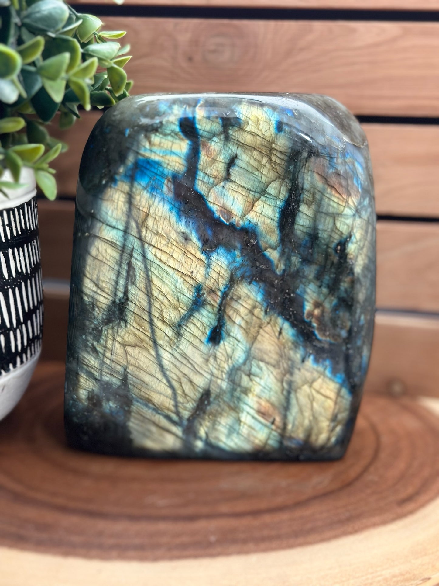Labradorite Large Freeforms