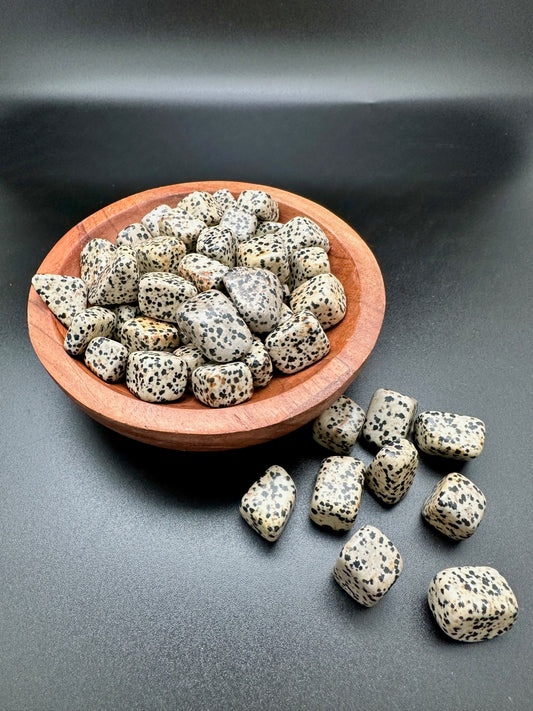 Dalmatian Jasper Tumbles