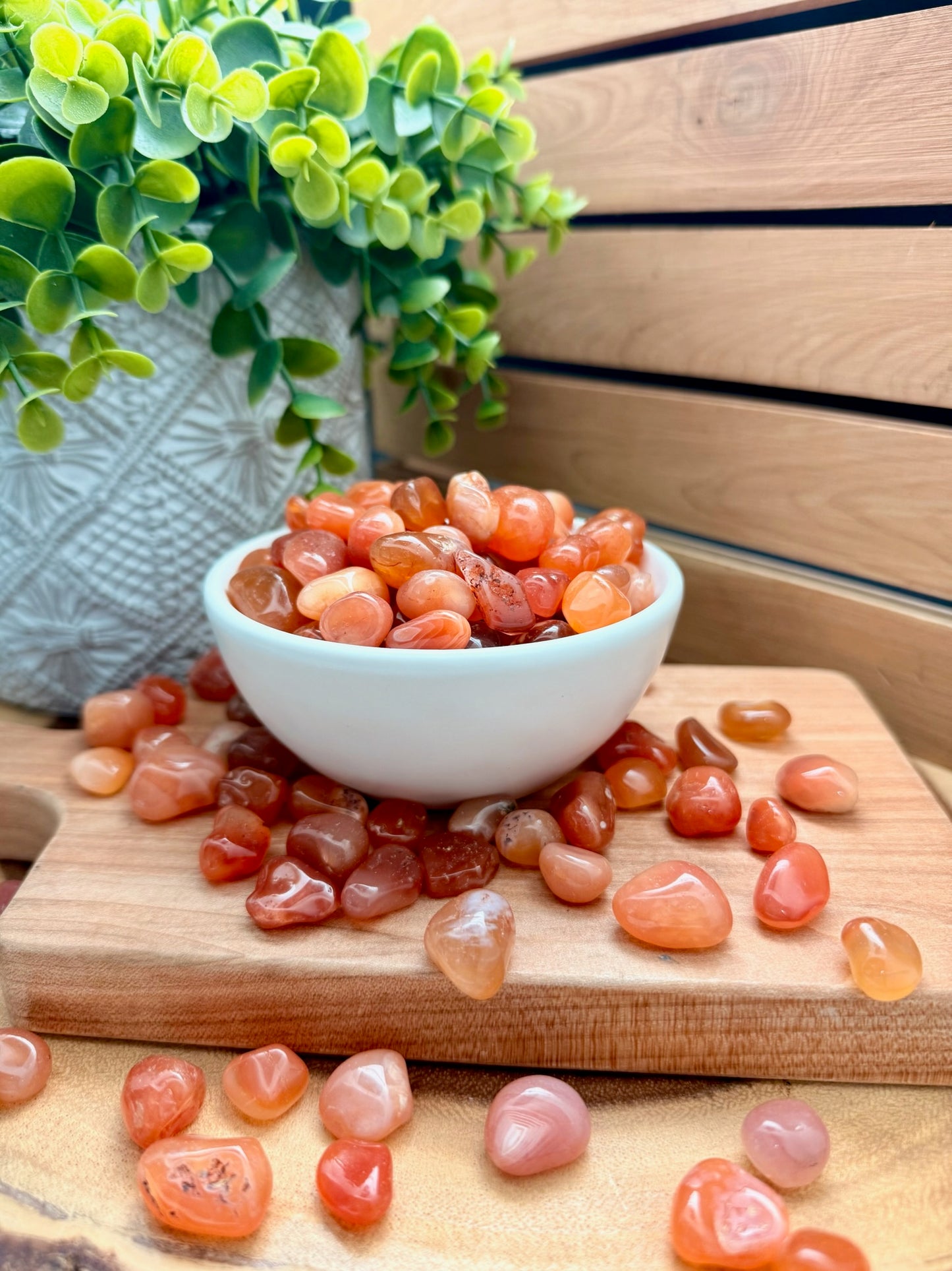 Carnelian Mini Tumbles