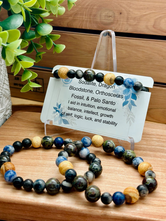Sodalite, Dragon Bloodstone, Orthosceras Fossil, and Palo Santo Bracelet