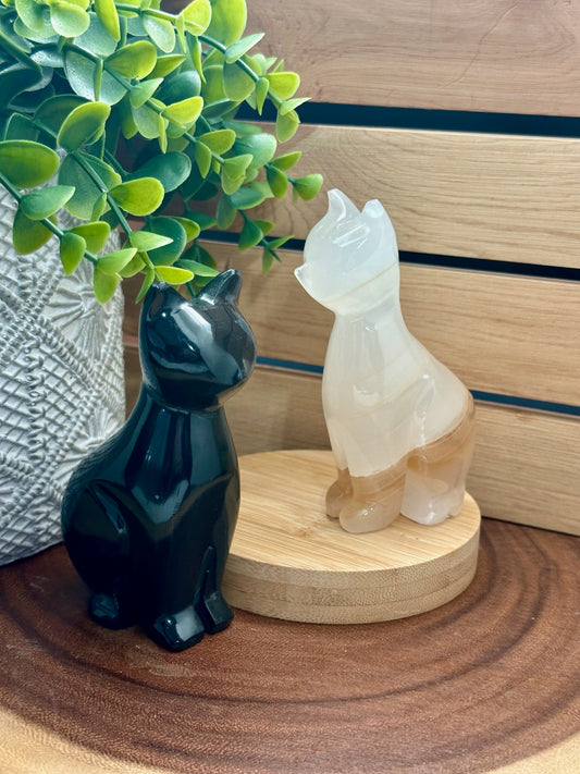 Cat Carvings
