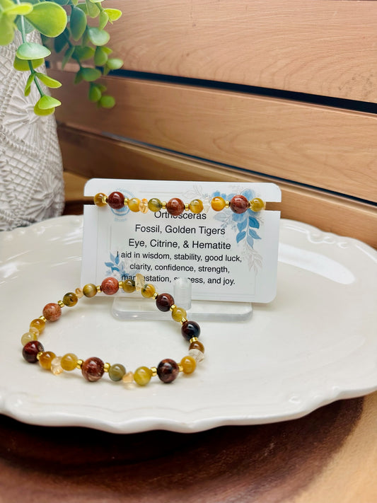 Orthosceras Fossil, Golden Tigers Eye, Citrine, and Hematite Bracelet