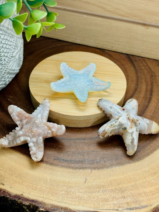 Stone Starfish Carvings