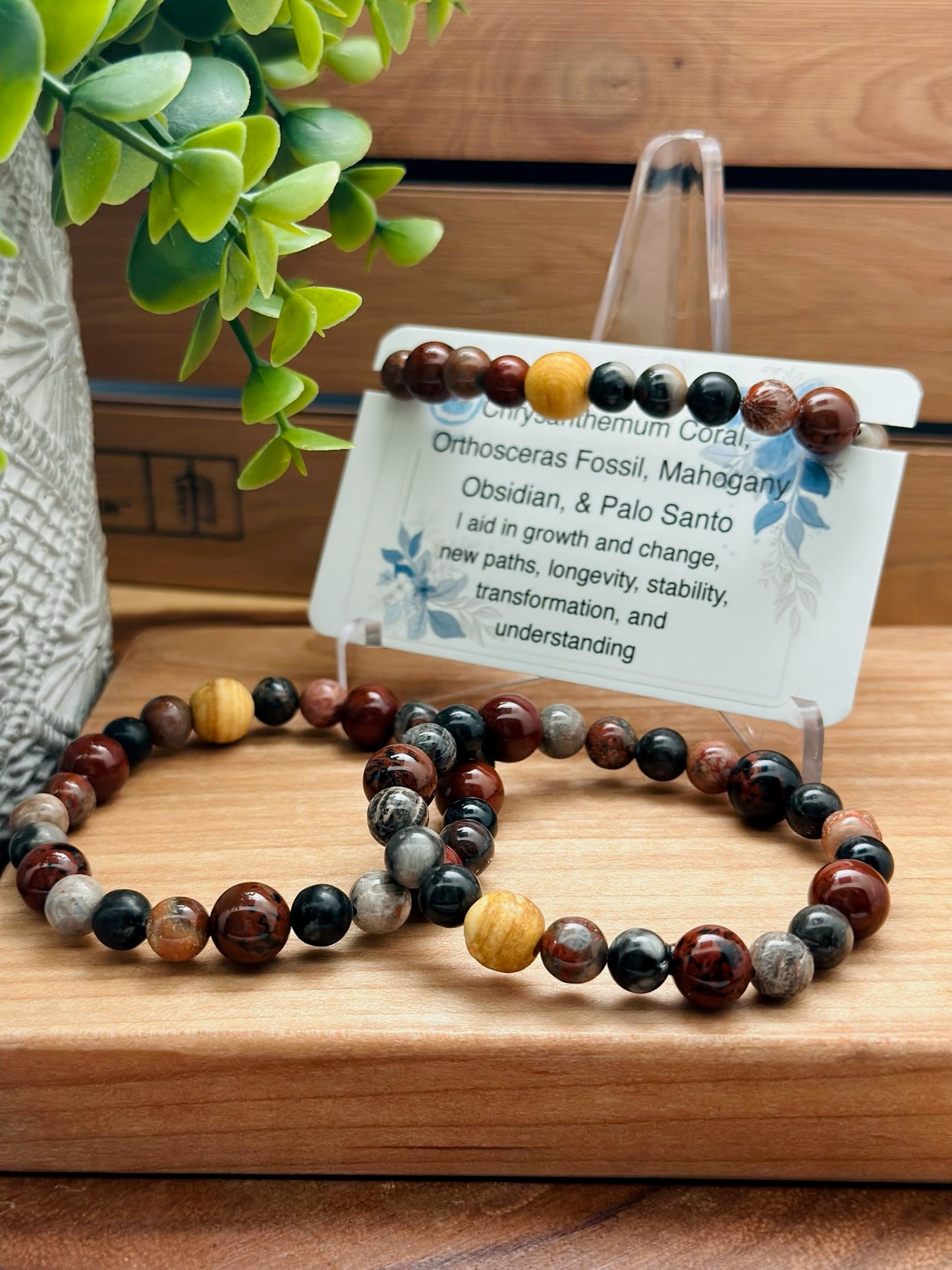 Chrysanthemum Coral, Orthosceras Fossil, Mahogany Obsidian, & Palo Santo Bracelet