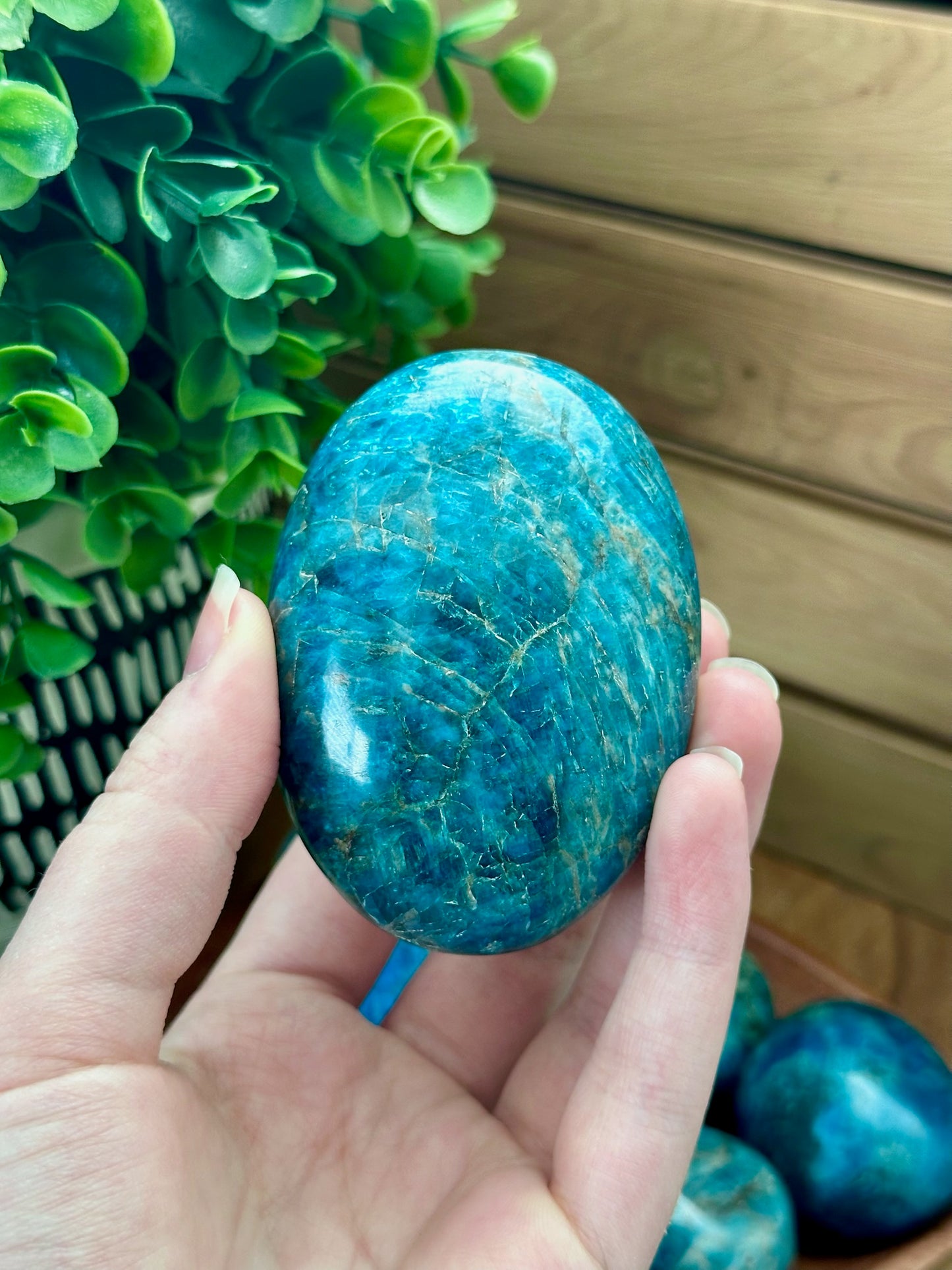 Blue Apatite Palmstone