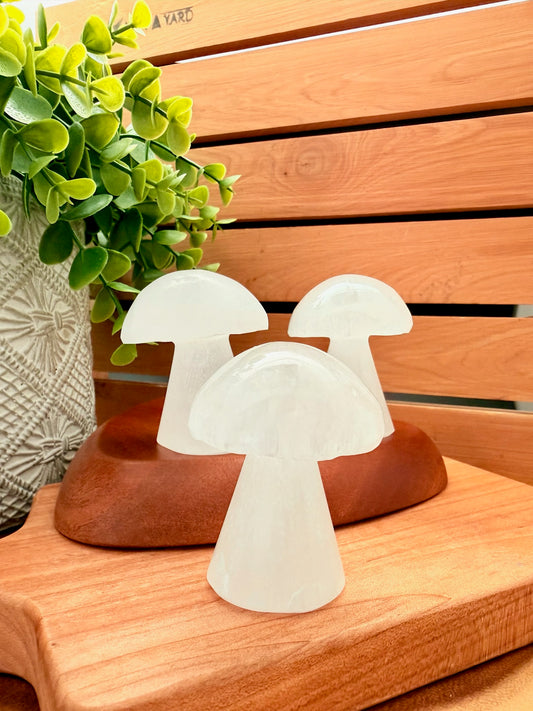 Selenite Mushrooms