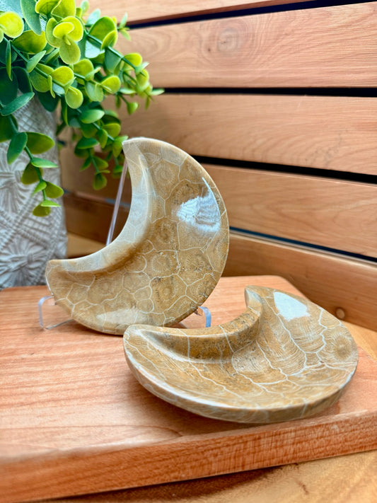 Coral Fossil Moon Dish
