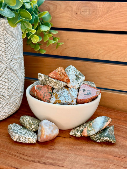 Ocean Jasper Tumbles