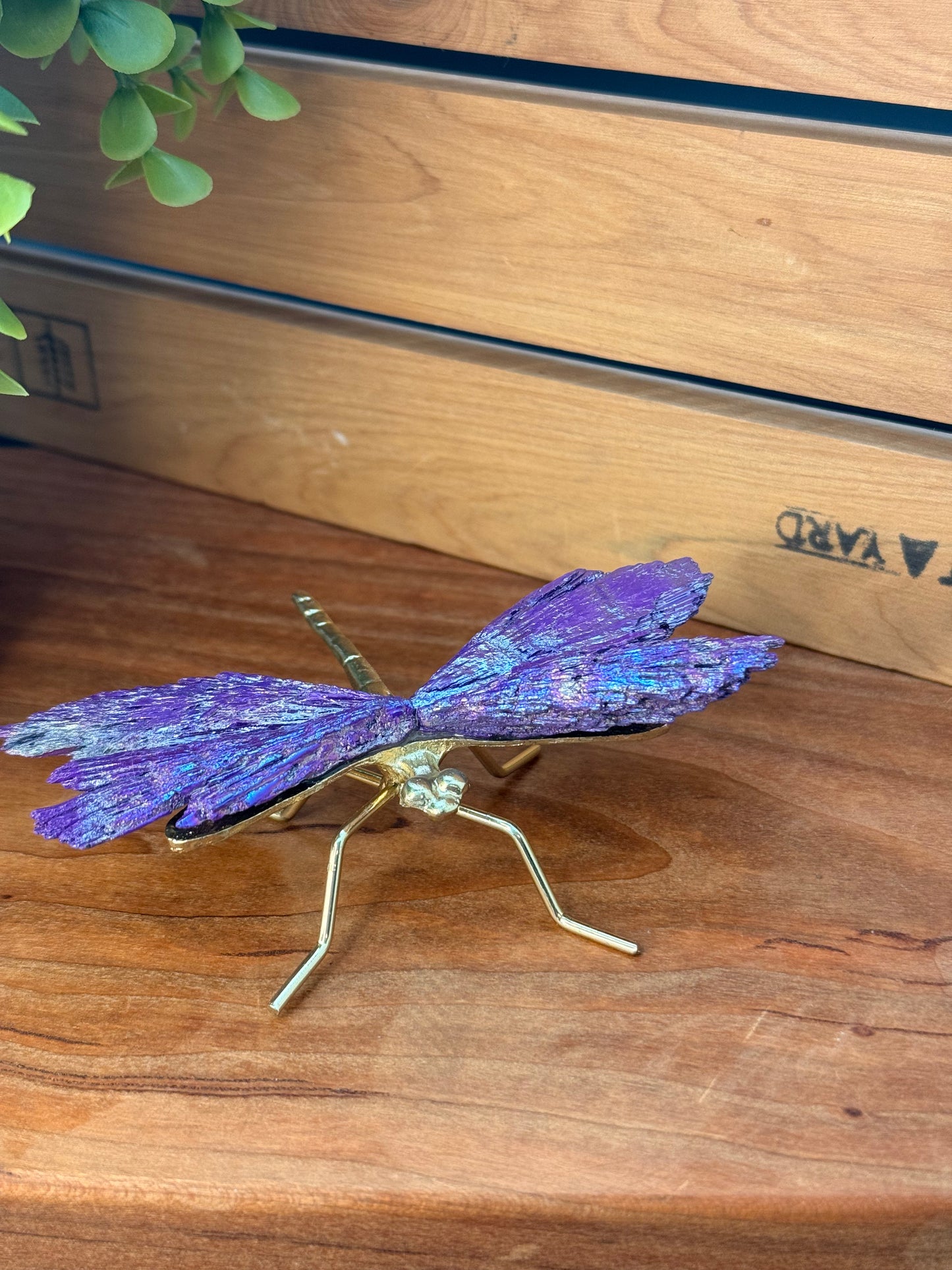 Kyanite Dragonflies