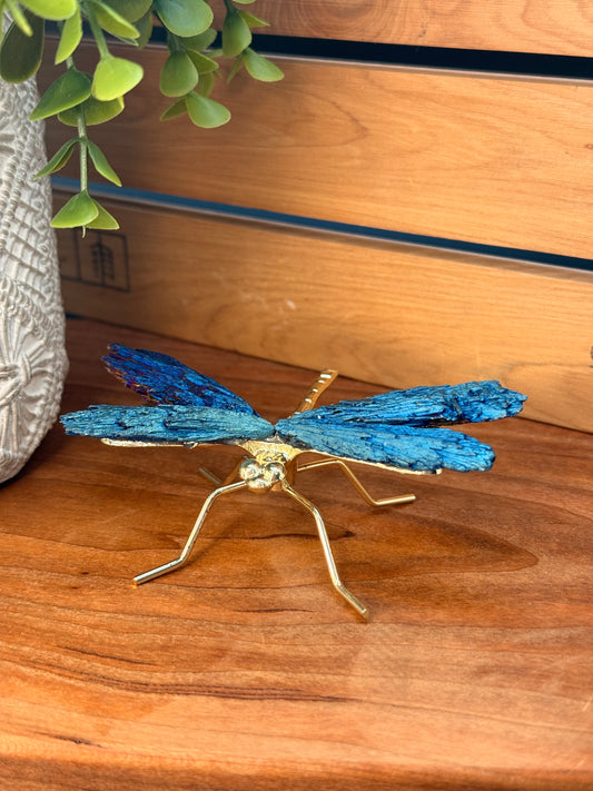 Kyanite Dragonflies