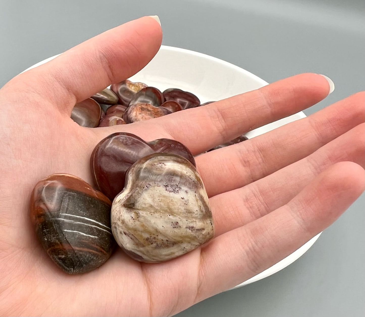 Petrified Wood Hearts