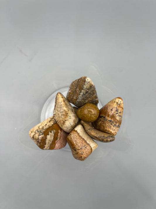 Picture Jasper Tumbles