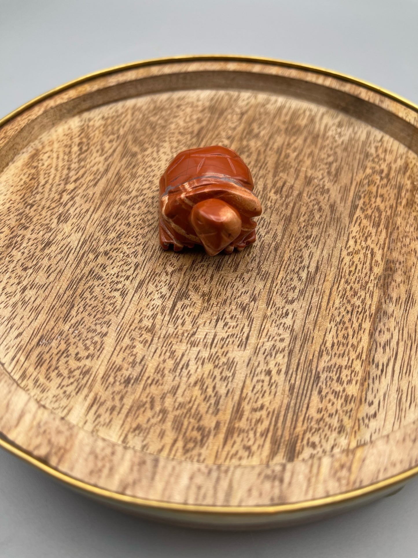 Red Jasper Turtle Carving