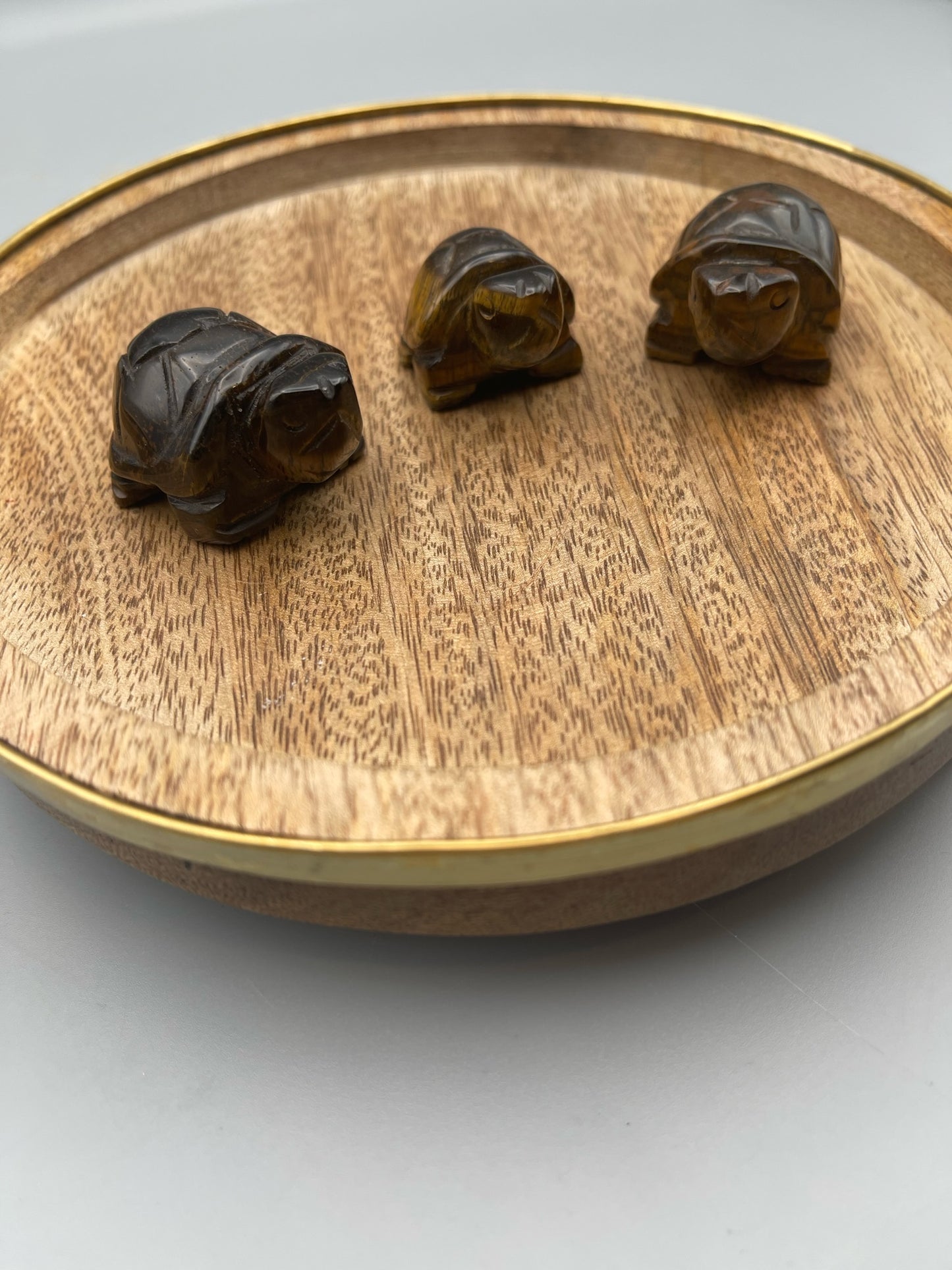 Tigers Eye Turtle Carvings