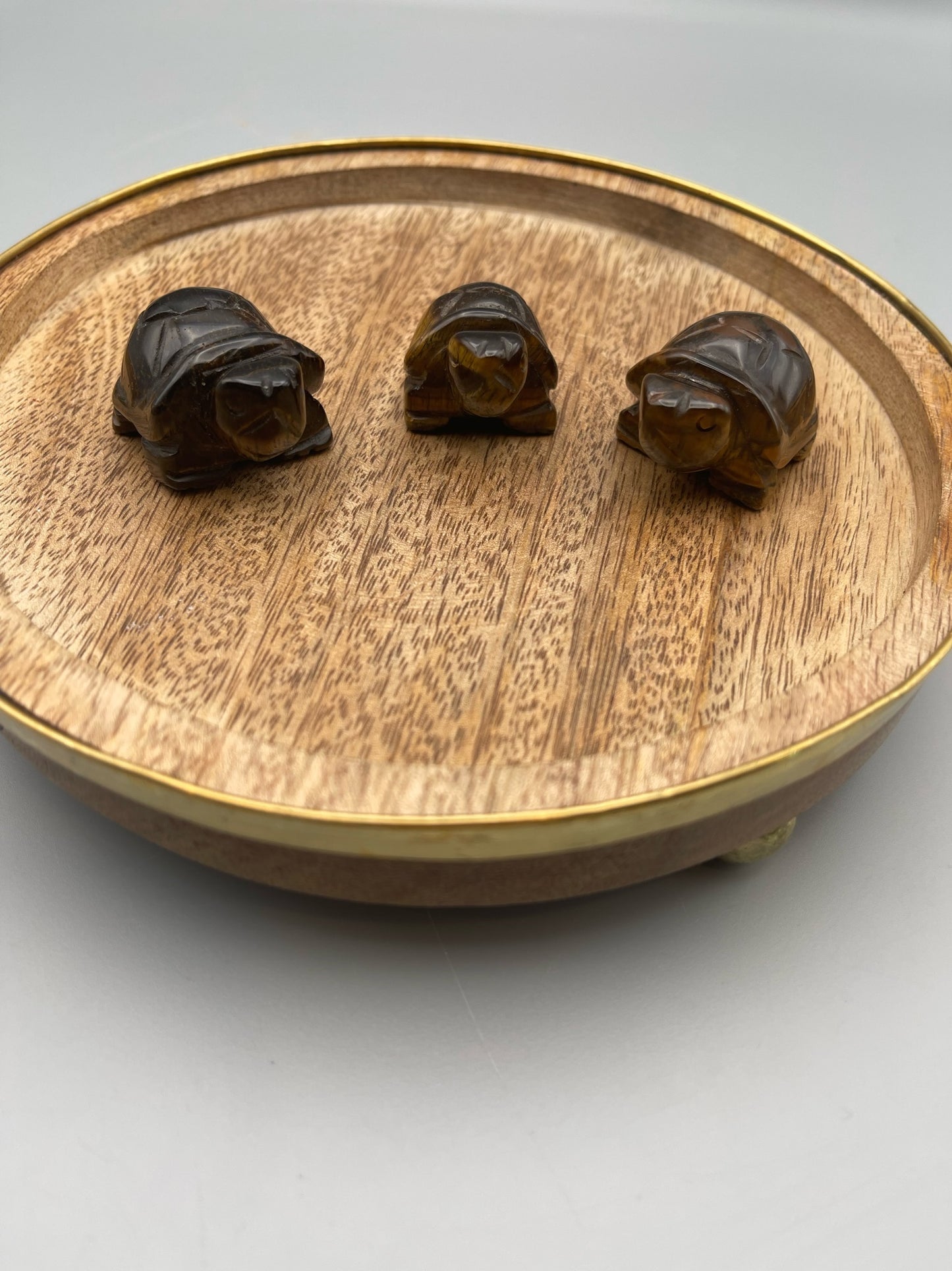 Tigers Eye Turtle Carvings